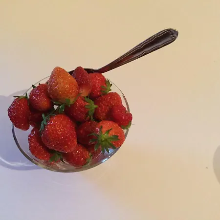 L'ancien Presbytere D'ardevon B&B