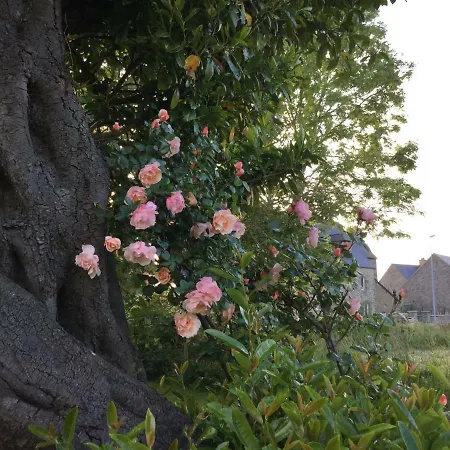 L'ancien Presbytere D'ardevon 3*