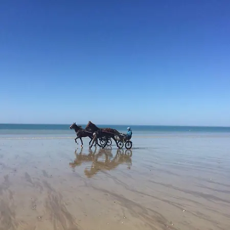 L'ancien Presbytere D'ardevon 3* Ardevon