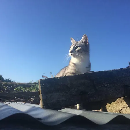 L'ancien Presbytere D'ardevon 3* Ardevon