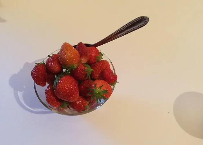 L'ancien Presbytere D'ardevon B&B