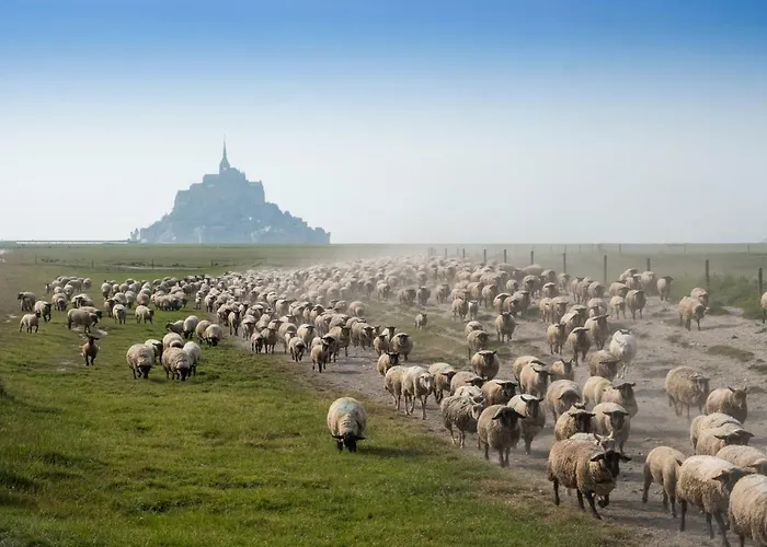 L'ancien Presbytere D'ardevon 3*