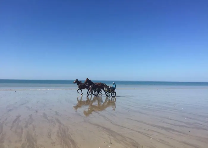 L'ancien Presbytere D'ardevon 3* Ardevon