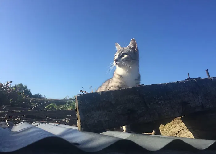 L'ancien Presbytere D'ardevon 3* Ardevon