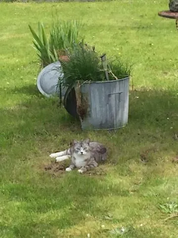 L'ancien Presbytere D'ardevon Couette-café